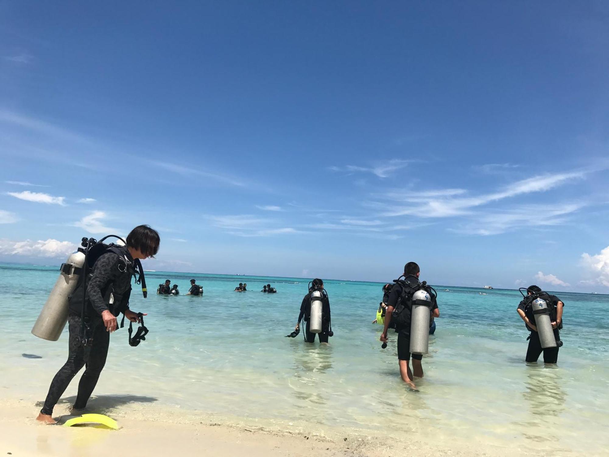 Dolphin Bay Island Resort Kota Belud Eksteriør bilde